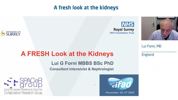 A Fresh Look at Kidneys